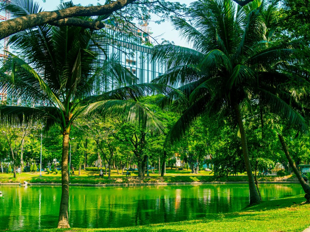 Vue sur le parc Lumpini à Bangkok avec ses palmiers, son lac et les gratte-ciel en arrière-plan, symbole d’une oasis urbaine au cœur de la ville.